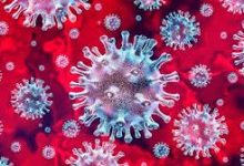 Photo of Feeling when a body is infected with COVID-19