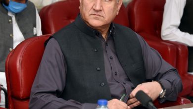 Photo of FM held a telephonic conversation with Secretary-General SCO