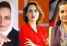 Photo of Standing Committee on Human Rights takes up issue of harassment of women journalists