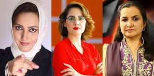 Photo of Standing Committee on Human Rights takes up issue of harassment of women journalists