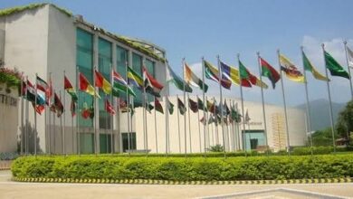 Photo of Commission on Science and Technology for Sustainable Development in the South invited to facilitate the establishment of a university of science and technology in Yemen