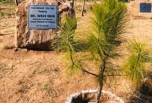 Photo of IK Inaugurates plantation drive in Islamabad
