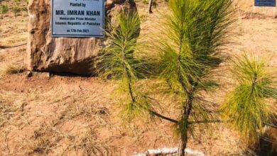 Photo of IK Inaugurates plantation drive in Islamabad