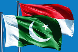 Photo of Pak and Indonesia to boost relations in Business, Education and Tourism Sectors, Ambassadors