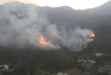 Photo of Tug of war between IWMB and CDA resulted damage of 171.54 acres land and wildlife.