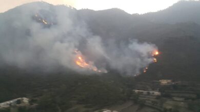 Photo of Tug of war between IWMB and CDA resulted damage of 171.54 acres land and wildlife.