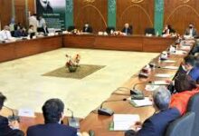 Photo of CDWP ok three projects worth Rs 49,651.347m