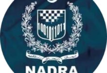Photo of NADRA submits reports regarding overseas voter’s right
