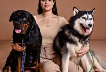 Photo of Ayesha Chundrigar launched eco-friendly handmade pet products by using Ocean waste