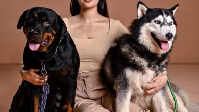 Photo of Ayesha Chundrigar launched eco-friendly handmade pet products by using Ocean waste