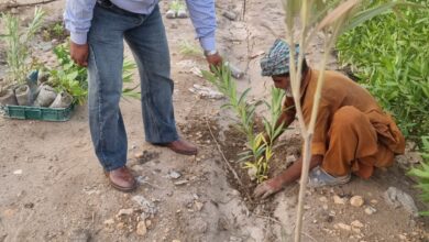 Photo of China’s Yunnan joins hands for a greener Pakistan