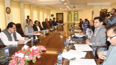 Photo of ECC deferred summary of National Food Security on profitable price of Wheat Crop