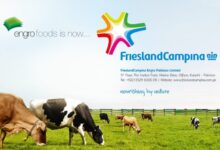 Photo of FCEPL Achieves Highest Ever Topline with Over 30 Percent Growth