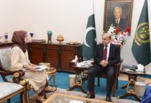 Photo of Dr. Fowzia Siddiqui, Dr Aafia Siddiqui’s Sister, meets the Prime Minister