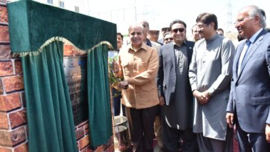 Photo of Prime Minister Inaugurates 330 MW Thal Nova Power Plant