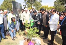 Photo of Afforestation is the most effective way to mitigate climate effects, Amin Ul Haque