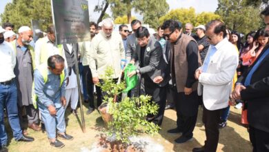 Photo of Afforestation is the most effective way to mitigate climate effects, Amin Ul Haque