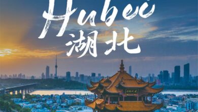 Photo of 2023 Yangtze River Tourism Overseas Promotion Season Kicked off In Pakistan