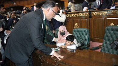 Photo of Planning Minister vows No Leniency for May 9 arsonists, pays tribute to martyrs