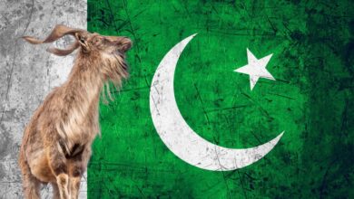 Photo of The Pakistani Authorities are Worse Than Before: Dr. Amir Khalil