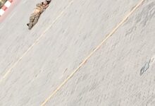 Photo of PAF Foiled Terrorist Attack at Mianwali Airbase