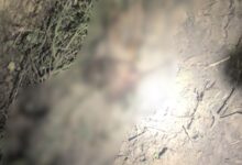 Photo of Eight Terrorists Killed in DIK, ISPR