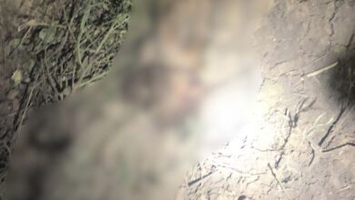 Photo of Eight Terrorists Killed in DIK, ISPR
