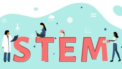 Photo of Breaking Barriers: Pakistani Women Achieve New Milestones in STEM