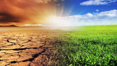 Photo of Dangerous Impact of Climate Change on Pakistan: A Flash Drought Attack