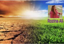 Photo of Monsoon 2024 and Looming Threats for Pakistan