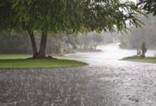 Photo of Monsoon Has Arrived, Safety First, Fun Later