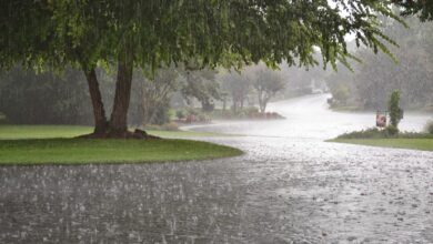 Photo of Monsoon Has Arrived, Safety First, Fun Later