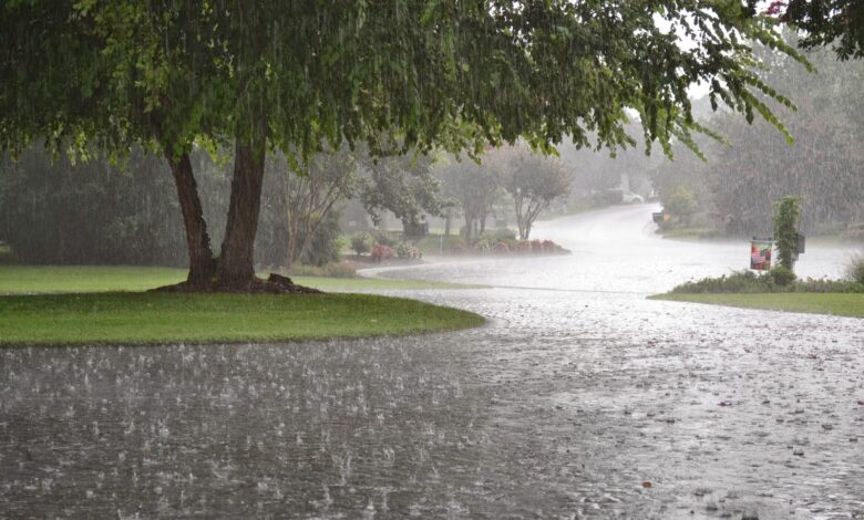 Monsoon Has Arrived, Safety First, Fun Later