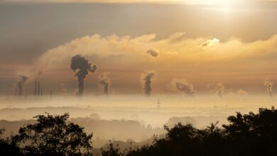 Photo of The Hidden Danger: Understanding Fog, Smog, and Air Pollution in Punjab