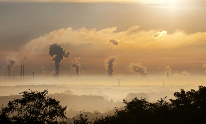 The Hidden Danger: Understanding Fog, Smog, and Air Pollution in Punjab