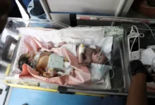 Photo of Gaza’s Healthcare Crisis Threatens Pregnant Women and Babies