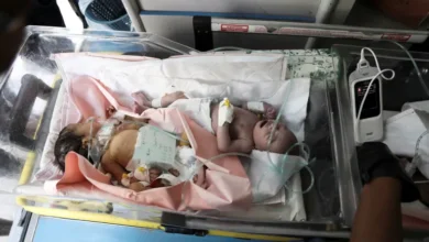 Photo of Gaza’s Healthcare Crisis Threatens Pregnant Women and Babies