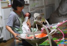 Photo of South Korea Honors Mothers of 13 Kids