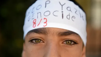Photo of Swedish Woman Sentenced to 12 Years for Enslaving Yazidis Under ISIL Rule