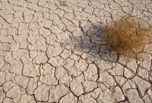 Photo of Pakistan’s Future: A Thirsty Land – Depleting Groundwater and the Looming Threat of Dry Weather