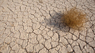 Photo of Pakistan’s Future: A Thirsty Land – Depleting Groundwater and the Looming Threat of Dry Weather