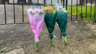 Photo of 19-Year-Old Woman Dies in Suspected XL Bully Dog Attack in Bristol