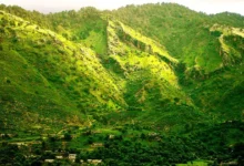 Photo of Margalla Hills Is Dying – Will We Stay Silent?