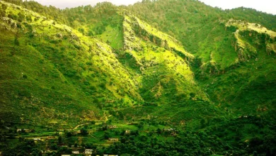 Photo of Margalla Hills Is Dying – Will We Stay Silent?