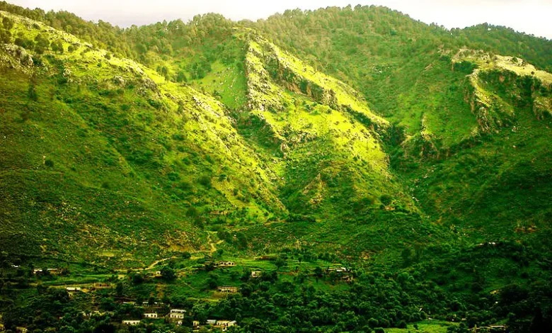 Photo of Margalla Hills Is Dying – Will We Stay Silent?