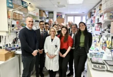 Photo of Revolutionizing Cancer Research: Google Partners with the Institute of Women’s Cancers