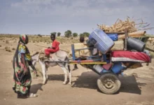 Photo of Amnesty Exposes RSF’s Use of Sexual Violence as Weapon of War in Sudan