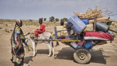 Photo of Amnesty Exposes RSF’s Use of Sexual Violence as Weapon of War in Sudan