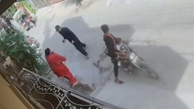 Photo of Overseas Pakistani Woman Attacked in Lahore: DIG Vows Swift Action