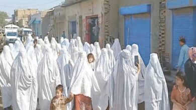 Photo of Women in Tank Protest Against Excessive Power Outages Amidst Growing Energy Crisis